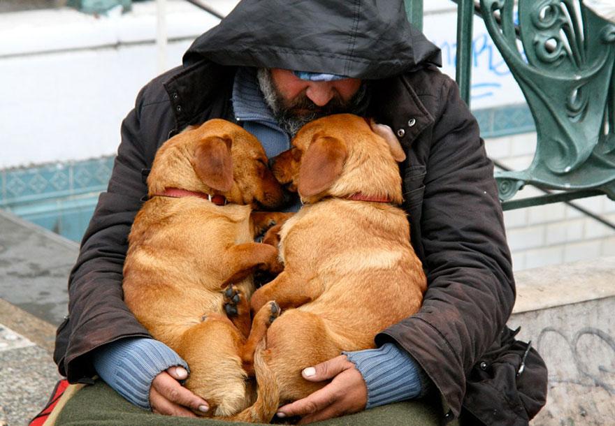 CÂMARA APROVA PROJETO DE LEI QUE GARANTE ACOLHIMENTO DE ANIMAIS EM ABRIGOS PÚBLICOS DE LEME