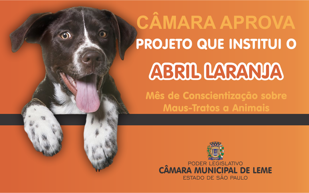 CÂMARA APROVA PROJETO DE LEI QUE INSTITUI O “ABRIL LARANJA” 