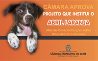 CÂMARA APROVA PROJETO DE LEI QUE INSTITUI O “ABRIL LARANJA” 